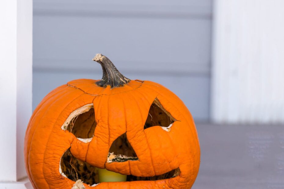Prevent pumpkins from rotting with vinegar