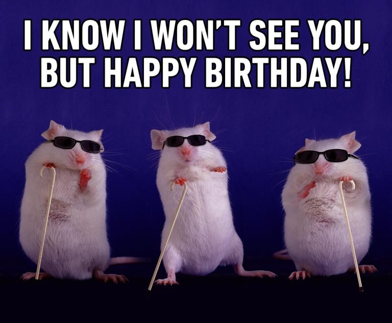 Birthday Memes for a friend belated happy birthday