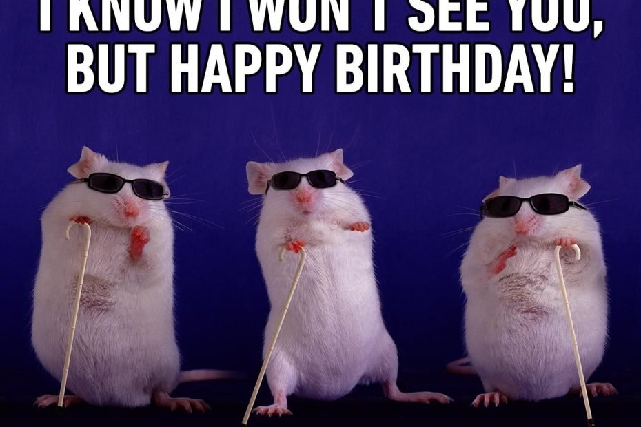 Birthday Memes for a friend belated happy birthday