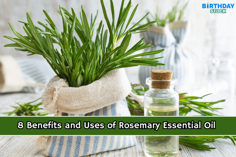 8 Benefits and Uses of Rosemary Essential Oil