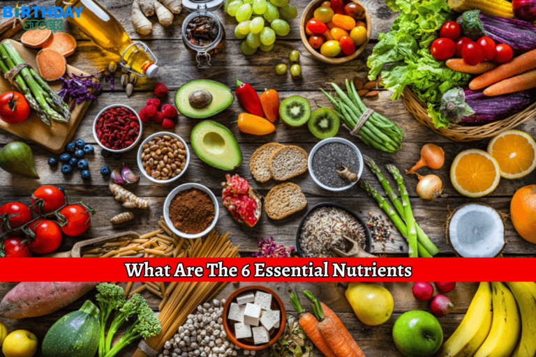 What Are The 6 Essential Nutrients