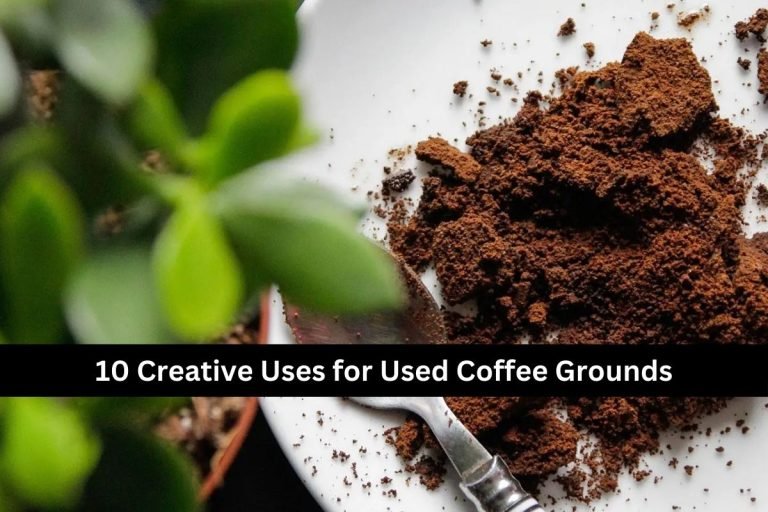 10 Creative Uses for Used Coffee Grounds