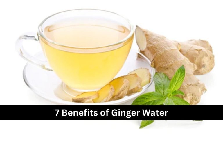 7 Benefits of Ginger Water