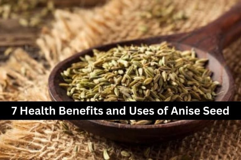 7 Health Benefits and Uses of Anise Seed