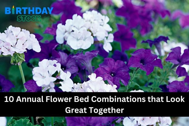 10 Annual Flower Bed Combinations that Look Great Together