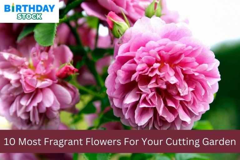 10 Most Fragrant Flowers For Your Cutting Garden
