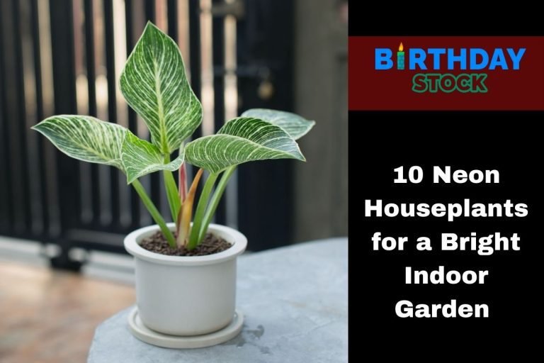 10 Neon Houseplants for a Bright Indoor Garden
