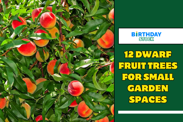 12 Dwarf Fruit Trees For Small Garden Spaces