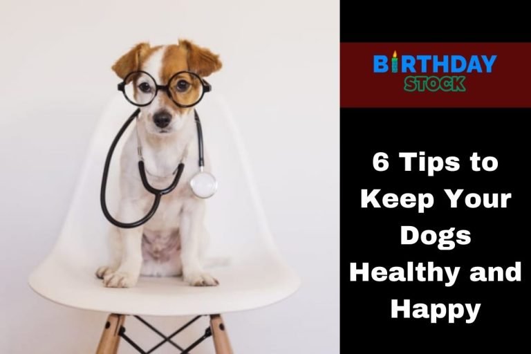 6 Tips to Keep Your Dogs Healthy and Happy