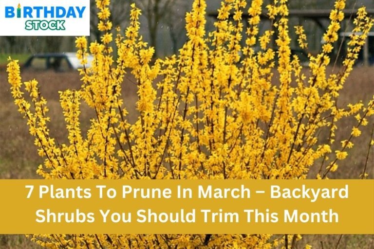 7 Plants To Prune In March – Backyard Shrubs You Should Trim This Month