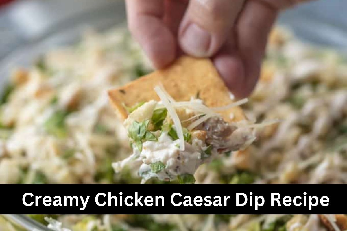 Creamy Chicken Caesar Dip Recipe - Birthday Stock