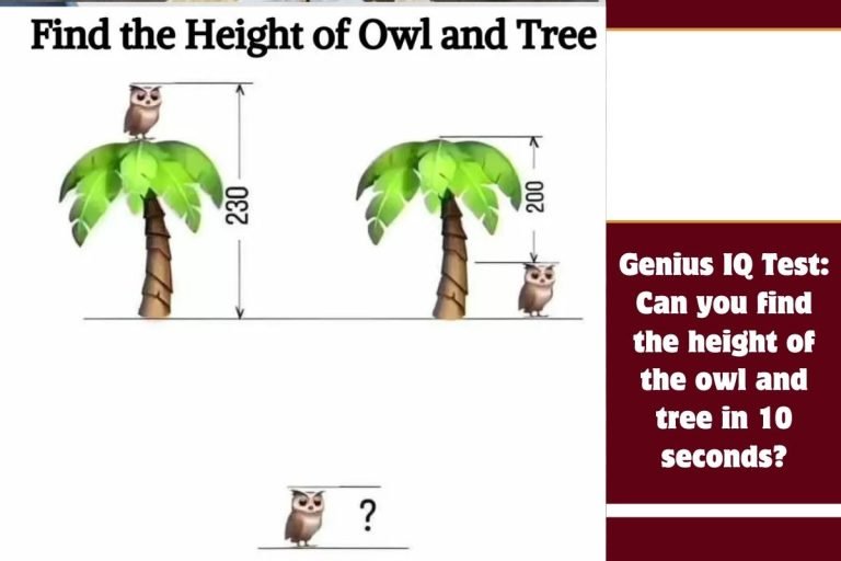 Genius IQ Test Can you find the height of the owl and tree in 10 seconds