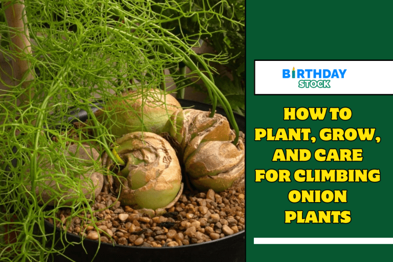 How to Plant, Grow, and Care for Climbing Onion Plants