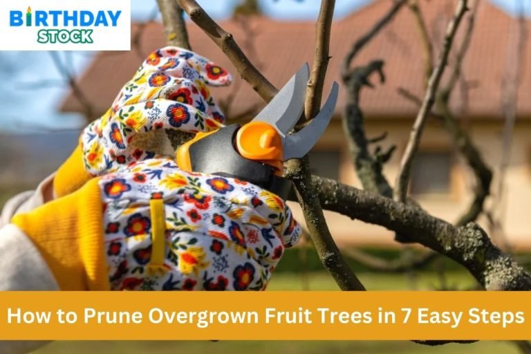 How to Prune Overgrown Fruit Trees in 7 Easy Steps