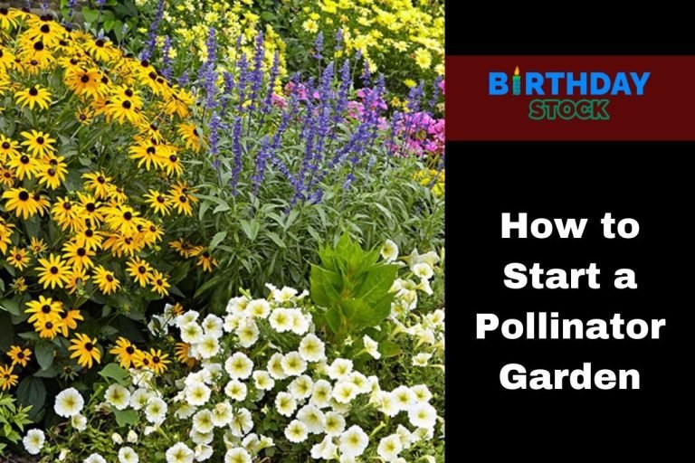 How to Start a Pollinator Garden