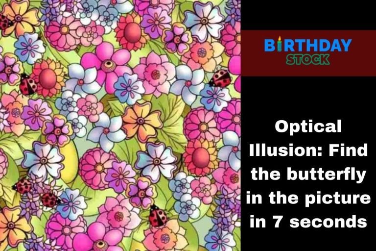 Optical Illusion Find the butterfly in the picture in 7 seconds