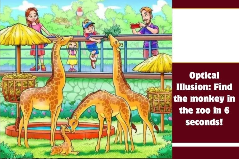 Optical Illusion Find the monkey in the zoo in 6 seconds!