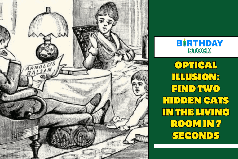 Optical Illusion Find two hidden cats in the living room in 7 seconds