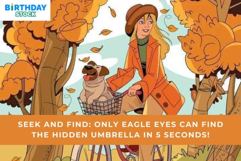 Seek and Find Only eagle eyes can find the hidden umbrella in 5 seconds!