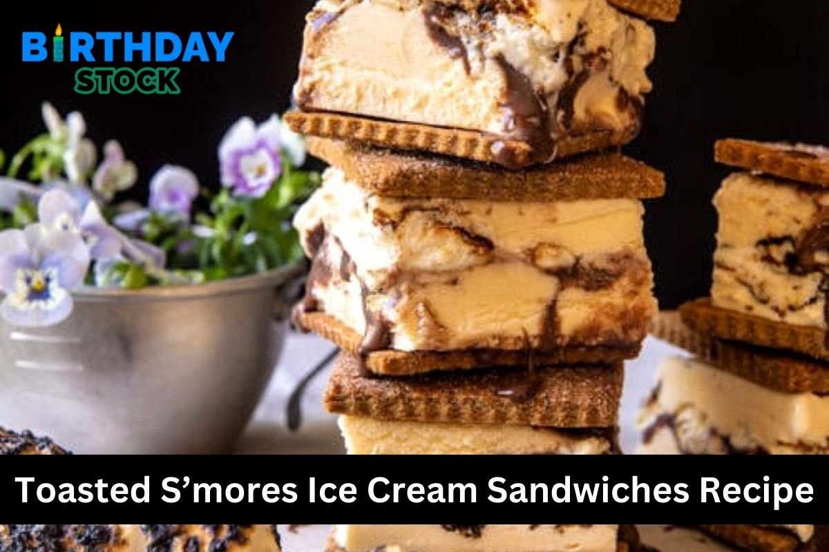 Toasted S’mores Ice Cream Sandwiches Recipe