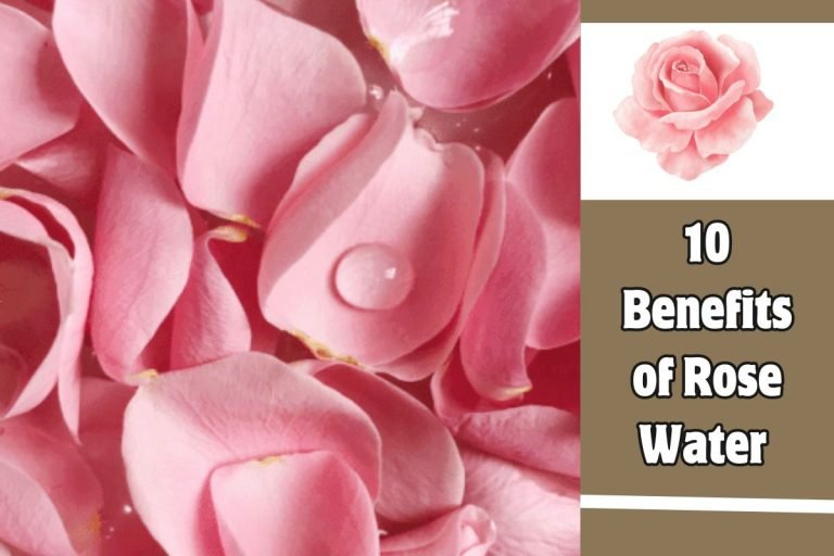 10 Benefits of Rose Water