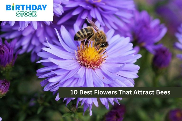 10 Best Flowers That Attract Bees