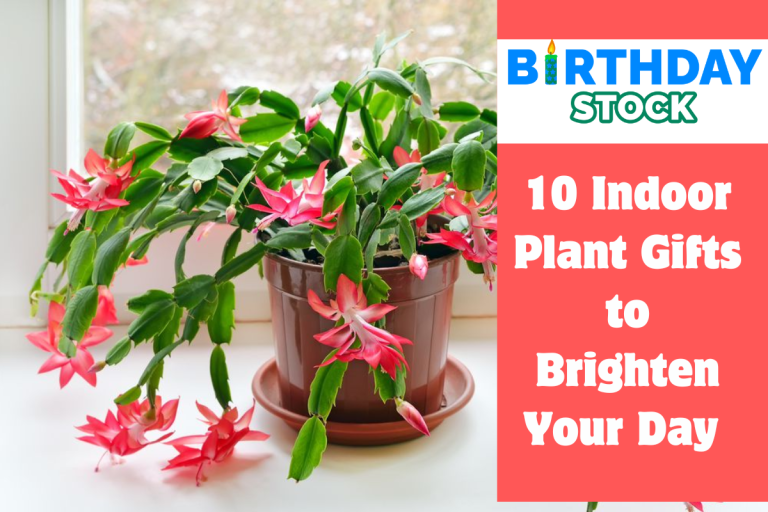 10 Indoor Plant Gifts to Brighten Your Day 