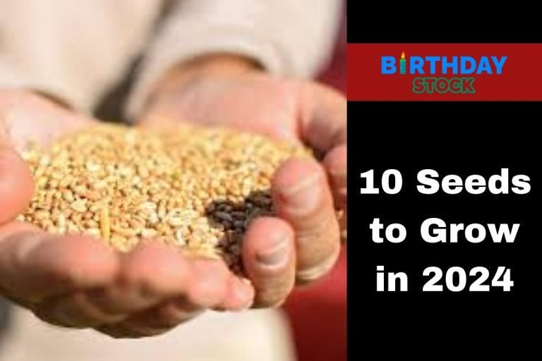 10 Seeds to Grow in 2024