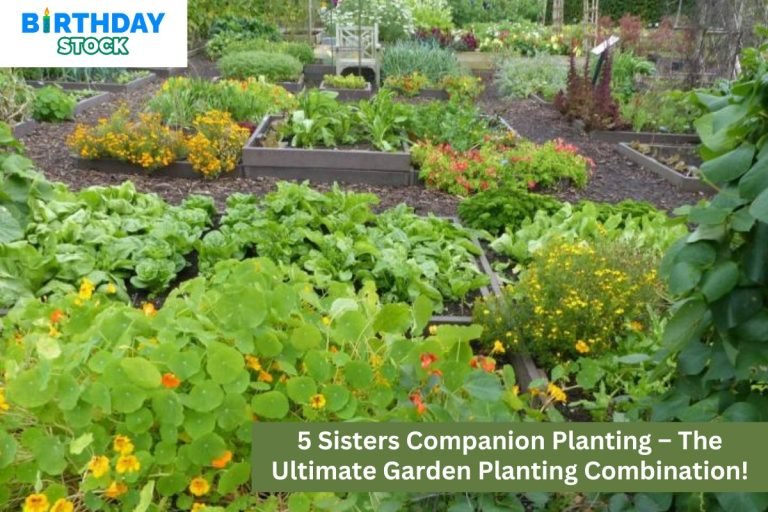 5 Sisters Companion Planting – The Ultimate Garden Planting Combination!