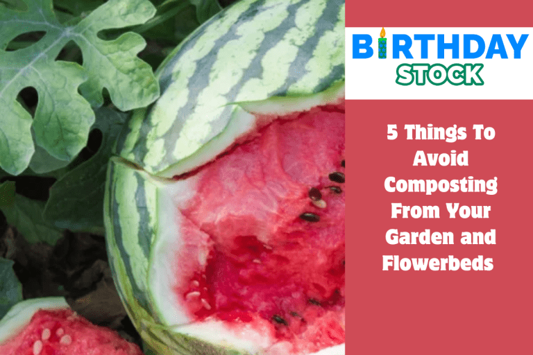 5 Things To Avoid Composting From Your Garden and Flowerbeds 