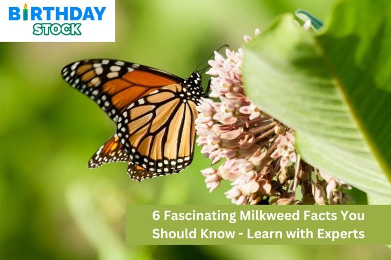 6 Fascinating Milkweed Facts You Should Know - Learn with Experts