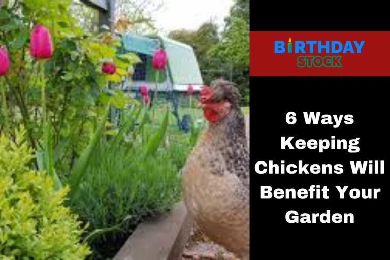 6 Ways Keeping Chickens Will Benefit Your Garden