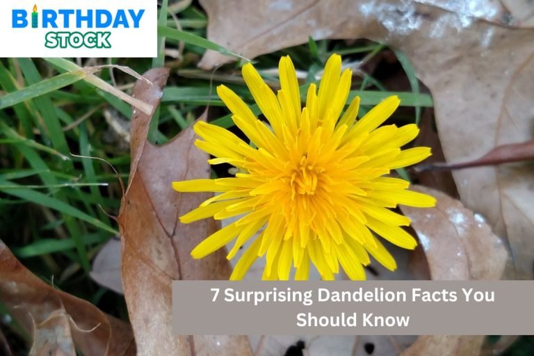 7 Surprising Dandelion Facts You Should Know