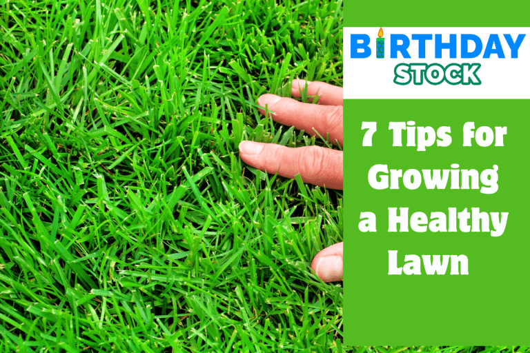 7 Tips for Growing a Healthy Lawn 