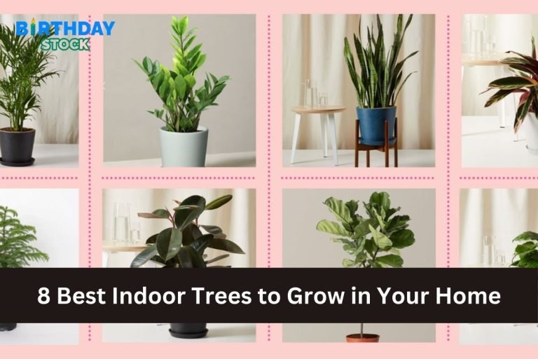 8 Best Indoor Trees to Grow in Your Home
