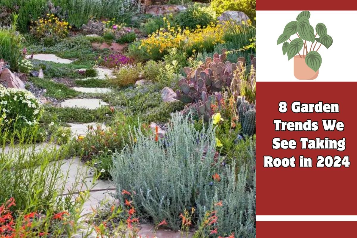 8 Garden Trends We See Taking Root in 2024