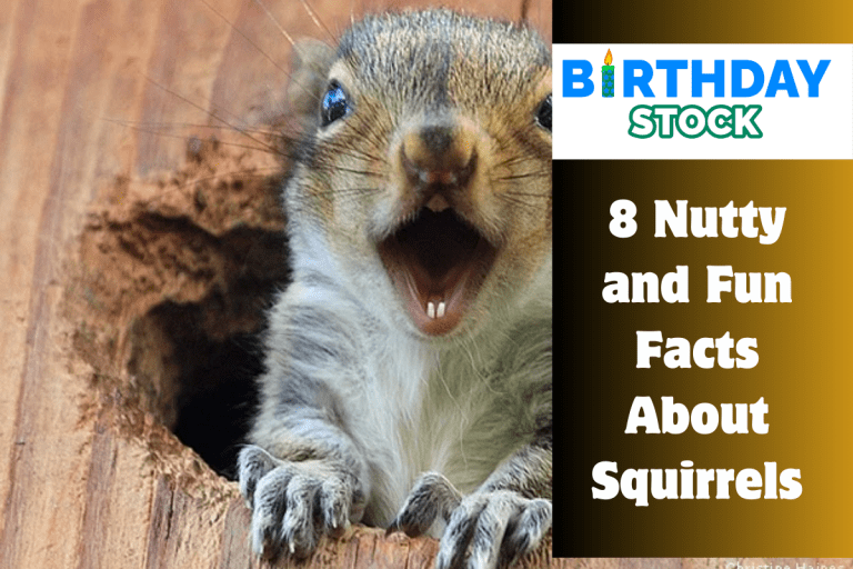 8 Nutty and Fun Facts About Squirrels
