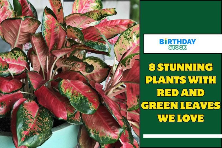 8 Stunning Plants With Red and Green Leaves We Love