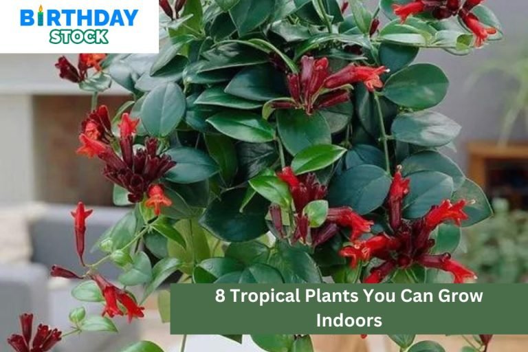 8 Tropical Plants You Can Grow Indoors
