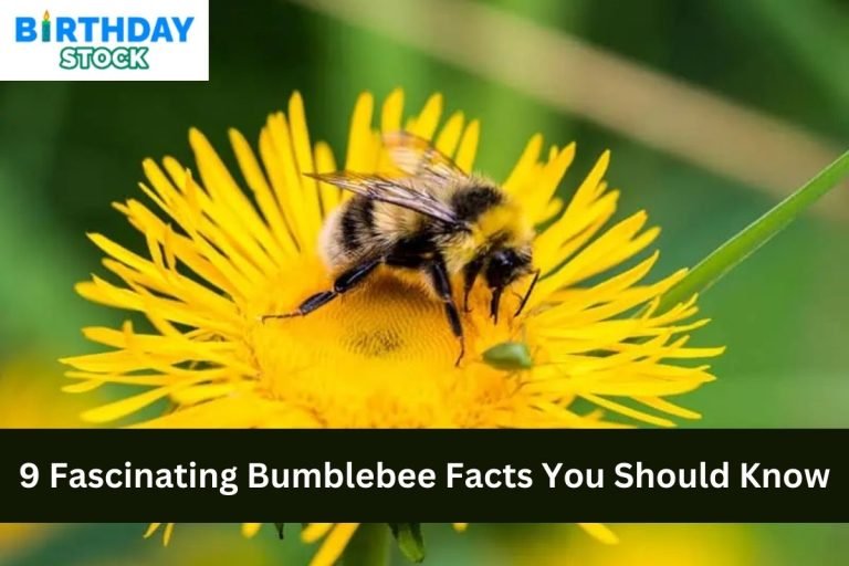 9 Fascinating Bumblebee Facts You Should Know