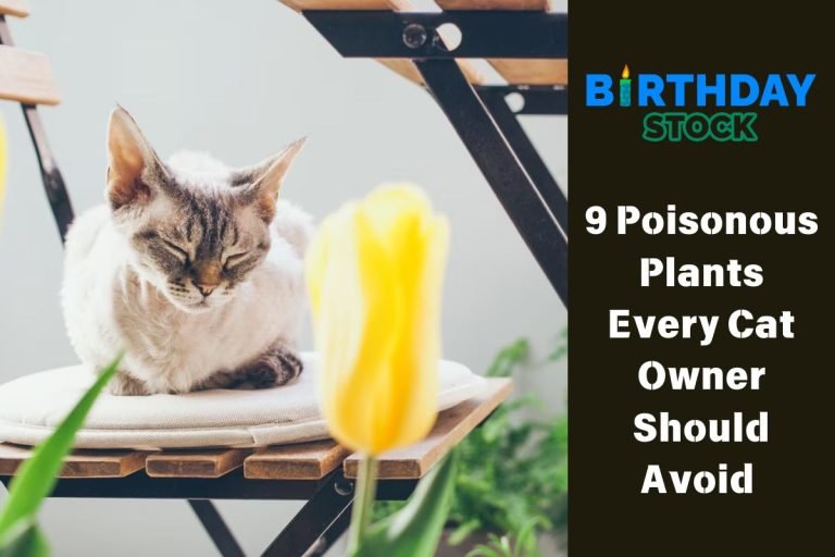 9 Poisonous Plants Every Cat Owner Should Avoid