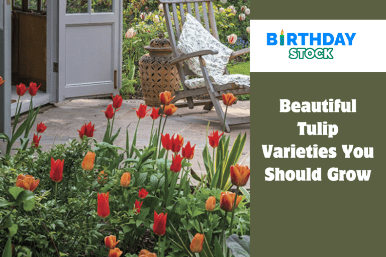 Beautiful Tulip Varieties You Should Grow