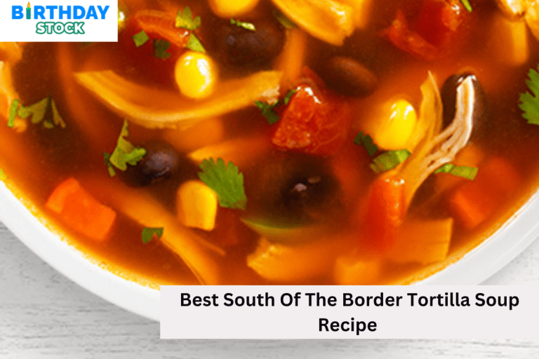Best South Of The Border Tortilla Soup Recipe 