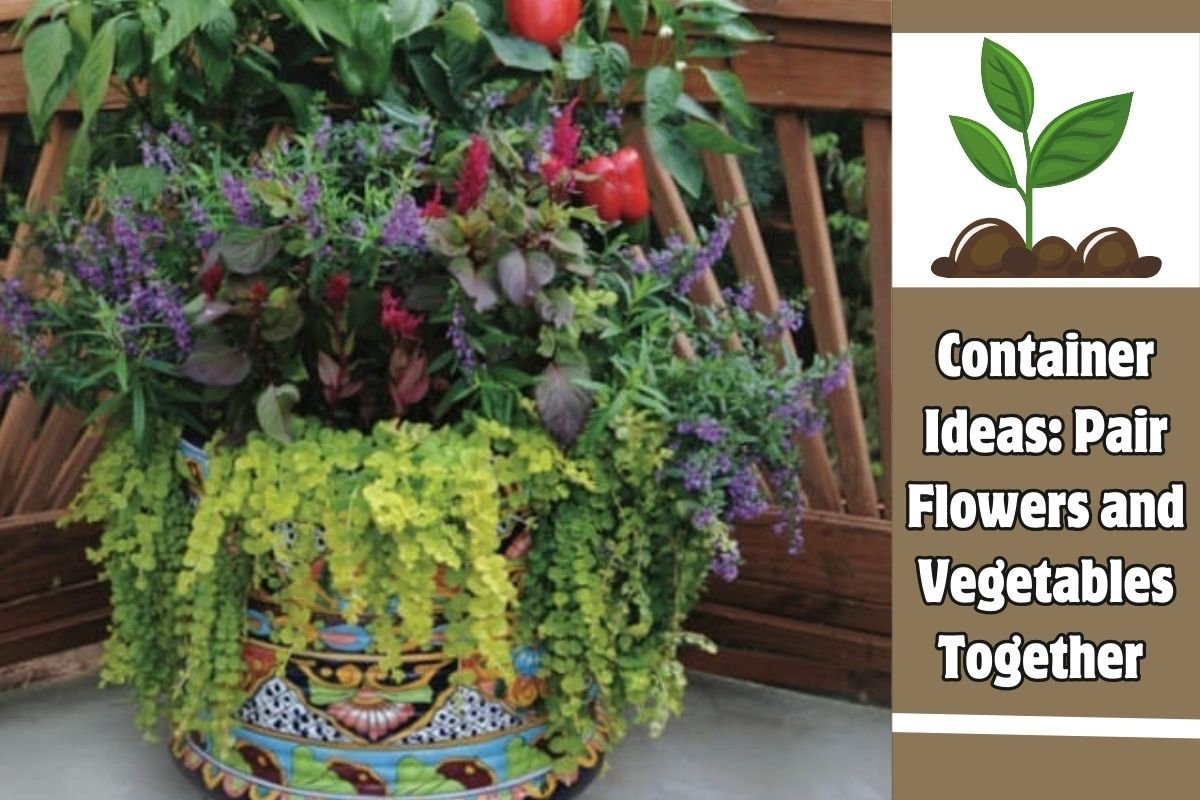 Container Ideas Pair Flowers and Vegetables Together