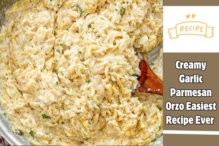 Creamy Garlic Parmesan Orzo Easiest Recipe Ever