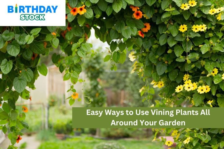 Easy Ways to Use Vining Plants All Around Your Garden