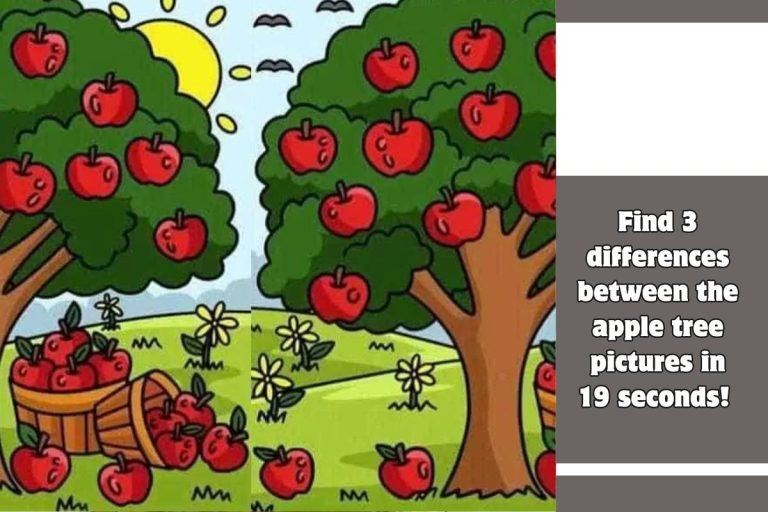 Find 3 differences between the apple tree pictures in 19 seconds!