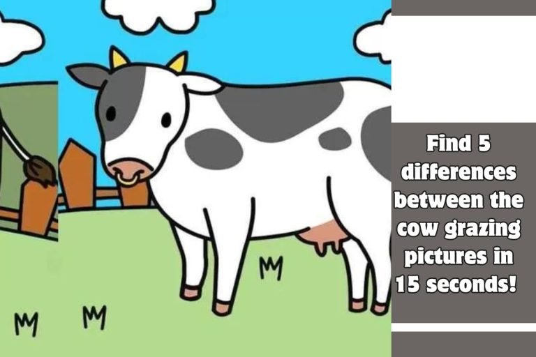 Find 5 differences between the cow grazing pictures in 15 seconds!