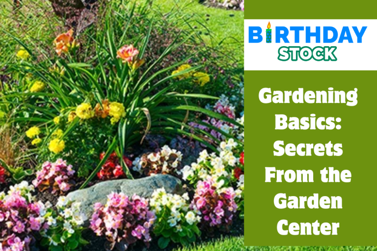 Gardening Basics Secrets From the Garden Center 