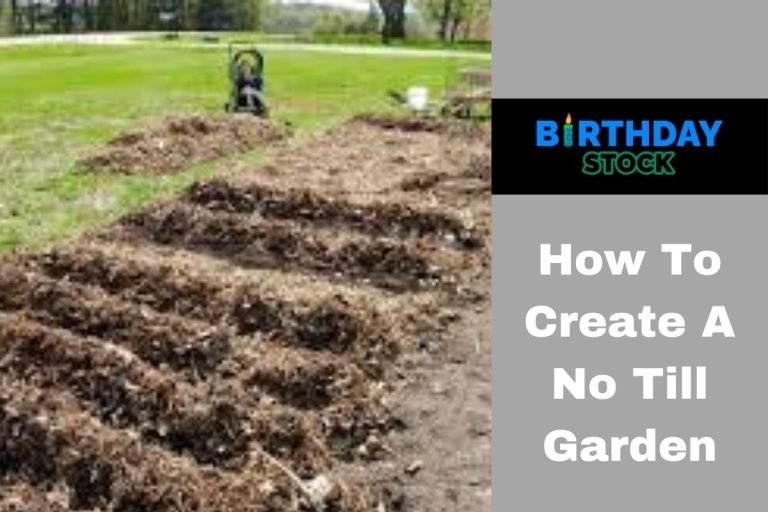 How To Create A No Till Garden